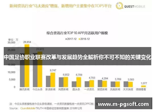 中国足协职业联赛改革与发展趋势全解析你不可不知的关键变化