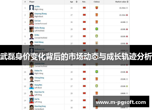 武磊身价变化背后的市场动态与成长轨迹分析