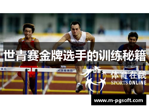 世青赛金牌选手的训练秘籍