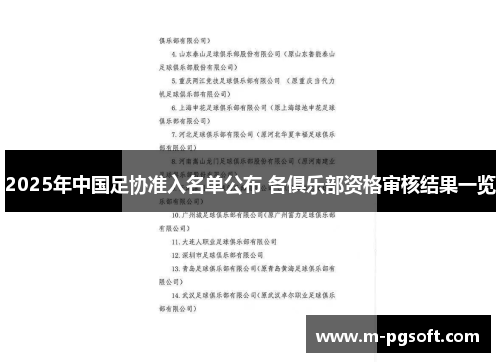 2025年中国足协准入名单公布 各俱乐部资格审核结果一览