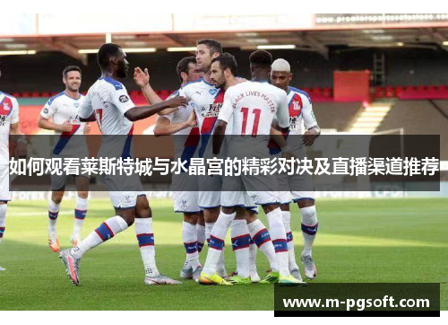 如何观看莱斯特城与水晶宫的精彩对决及直播渠道推荐