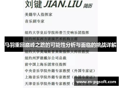马羽重回巅峰之路的可能性分析与面临的挑战详解