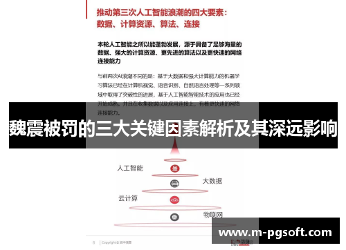 魏震被罚的三大关键因素解析及其深远影响