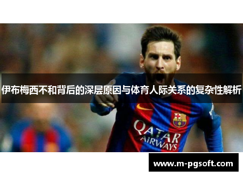 伊布梅西不和背后的深层原因与体育人际关系的复杂性解析