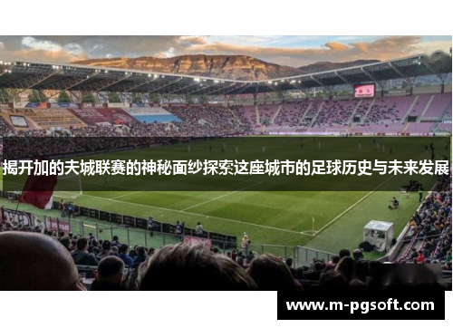 揭开加的夫城联赛的神秘面纱探索这座城市的足球历史与未来发展